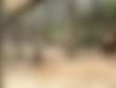Creekside Camper & Tent Site Rental - Photo 3