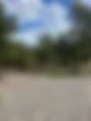 Spectacular Mountain Getaway - Photo 2