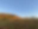 Big Baldy Mountain - Photo 3