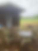 Strawberry Crossroads - Photo 3
