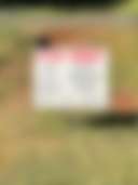 Camp@Castaway/Lake Hartwell - Photo 3