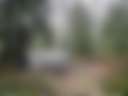 Fern Gully Retreat - Photo 3