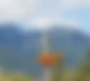Frog Creek Meadow - Photo 2