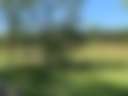 Magill Farms