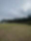 Miles from nowhere - Photo 3