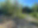 Cedarsong Sound - Photo 3