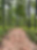 Northern Oasis - Photo 3