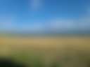 Big Black Barn on the Lake - Photo 2