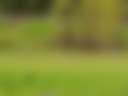 Sun-drenched green escape - Photo 2