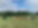 Magill Farms - Photo 2