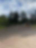 Moseying Moose RV Sites - Photo 2