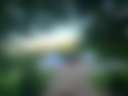 Babylon Woods - Photo 2