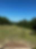 Babylon Woods - Photo 3