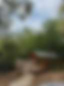 Stillhouse Creek Cabins - Photo 2