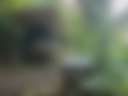Plantasia Homestead Forest Platform - Photo 2
