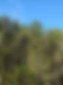 The Lake House - Exclusive Site - Photo 2