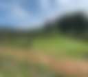 Glenwaters Farmstays