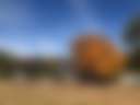 Openroad Farm - Photo 2