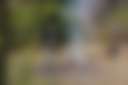 Bebrue Mittagong - Photo 2