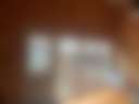 Tiny Cabin - Photo 3