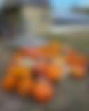 Urban Camping - Photo 2