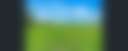 Dandelion Farm - Photo 3
