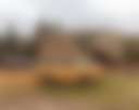 L.Davis Ranch and Olde LYFE Alpacas