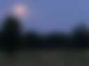 Cosmos Ranch - Photo 3