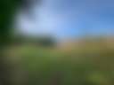 Moore Farm - Photo 3