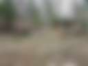 The Meadow At Stone Soup - Photo 2