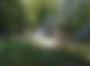 The Meadow At Stone Soup