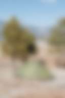 HarmonyTaos Regenerative Farm - Photo 2