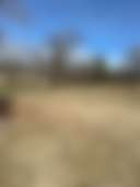 AJ & SONS RANCH - Photo 2