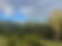 Mountain Flower Farm - Photo 3