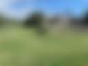 BubbaSchottMiles Farm West Pasture