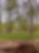 Sacred Gaia Retreats