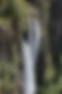 Homeville Camping and Farm Stay