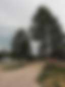 Pine Haven Lodging