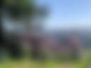 Comptche Matrix @ Sunny-land - Photo 2
