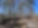 RV Lot In North GA Mountain Resort