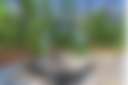 Unique Dome | Games | Fishing | TV - Photo 2
