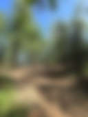 Evenson Heritage Lodge in Kenai - Photo 2