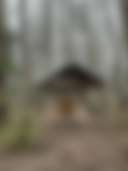 Fern Hill Acres campground - Photo 2
