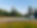 WoodHaven Farm - Photo 3