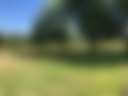 Sand Ridge Breeze