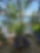 Jases Cove Way PVT. LODGING - Photo 2