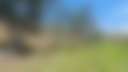 2PL8s Farm - Photo 2