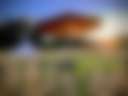 Boulder Chicken Ranch