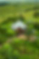 Treetops Sanctuary