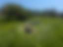 Mello Farm - Photo 3